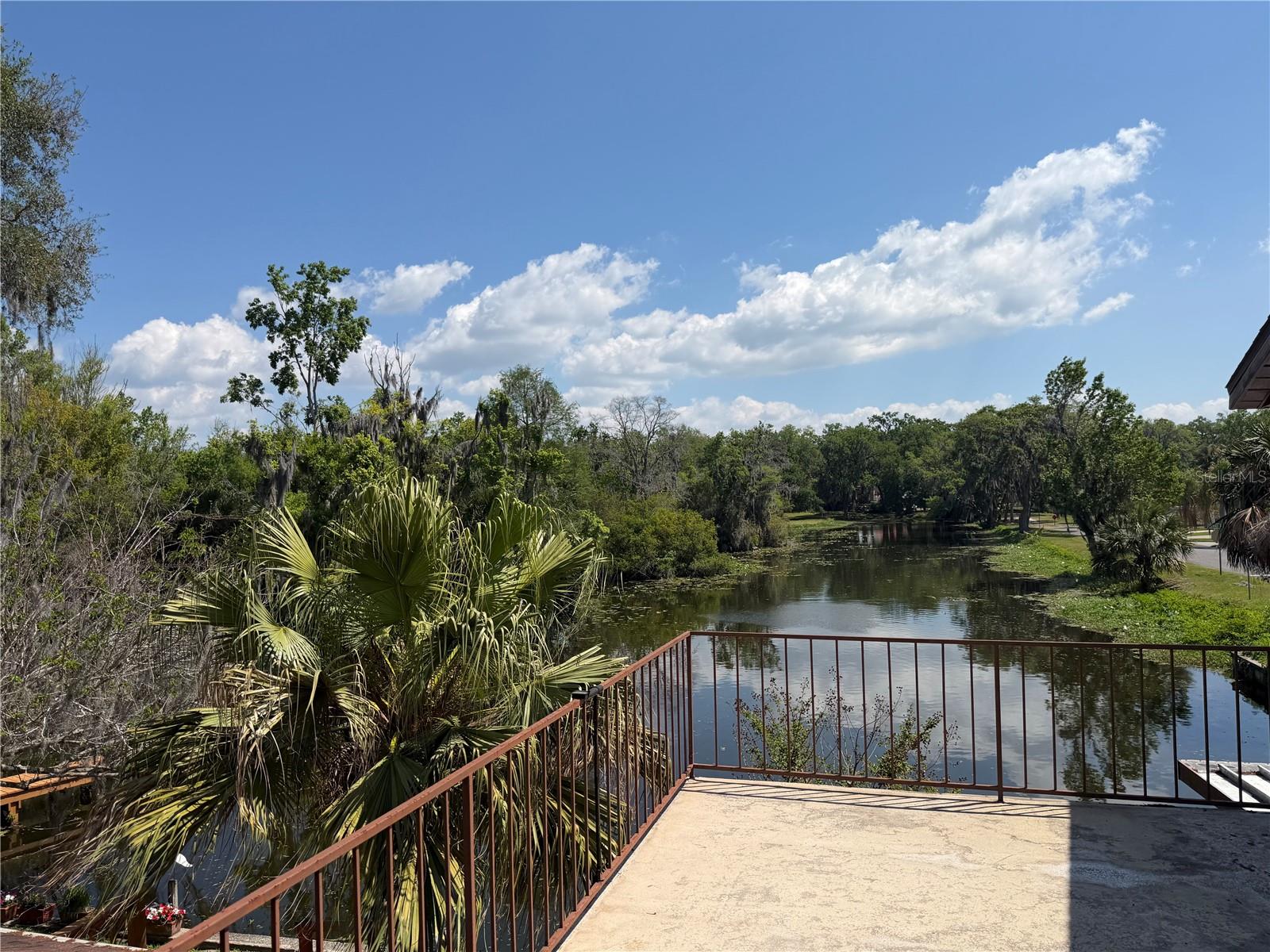 804 PALM HARBOR CT, LEESBURG, FL, 34748