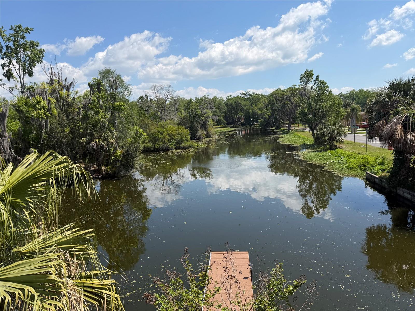 804 PALM HARBOR CT, LEESBURG, FL, 34748
