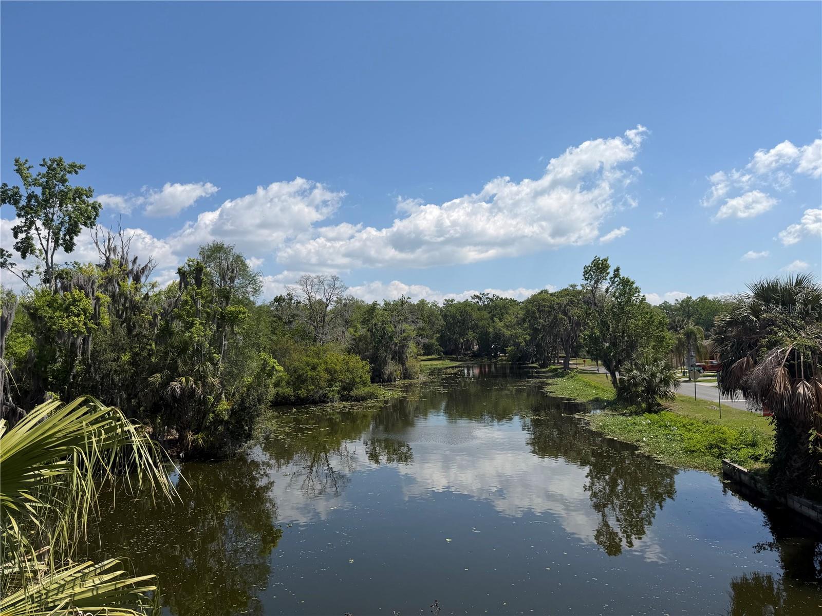 804 PALM HARBOR CT, LEESBURG, FL, 34748