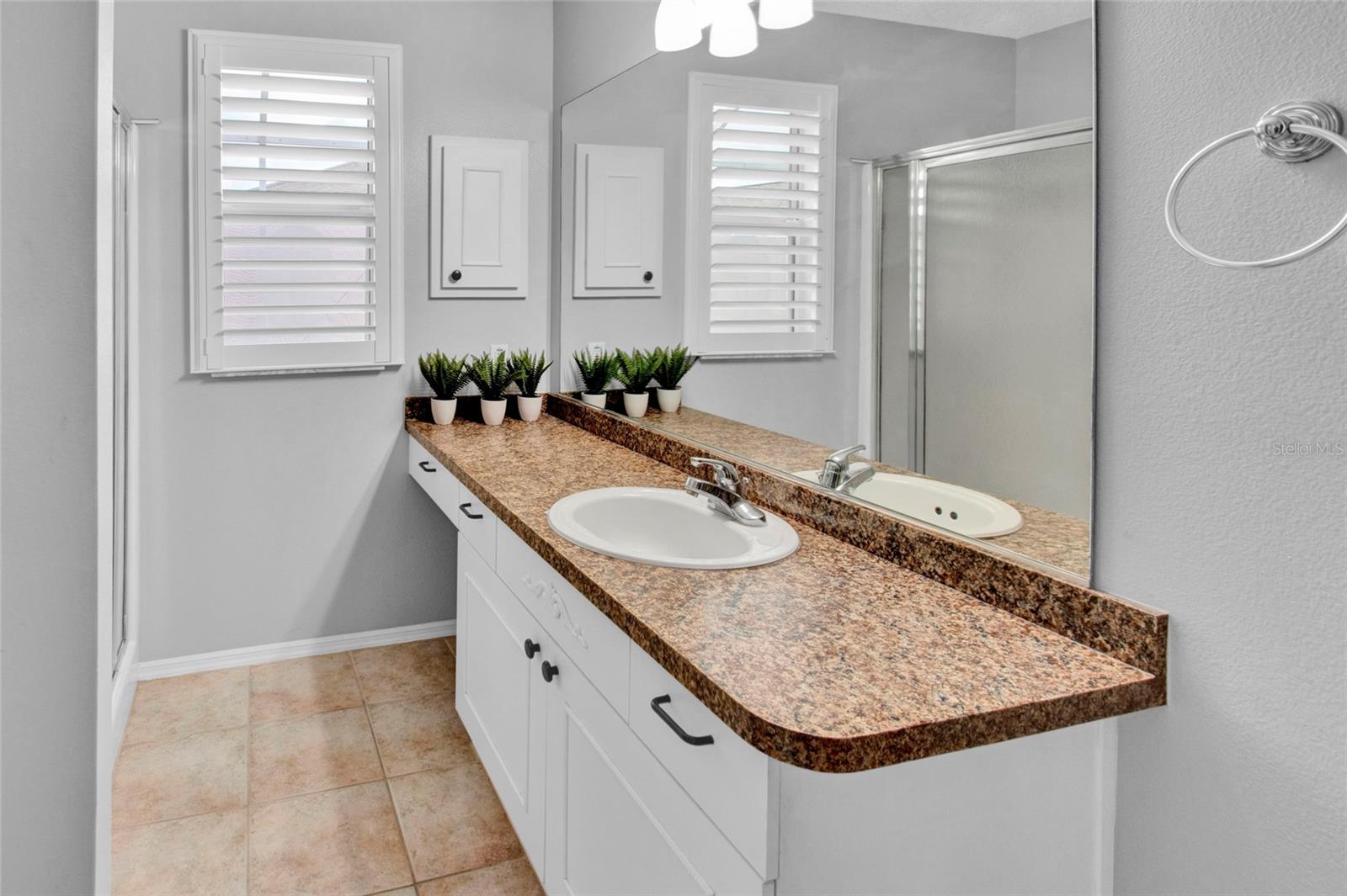 807 CAMINO DEL REY DR, THE VILLAGES, FL, 32159