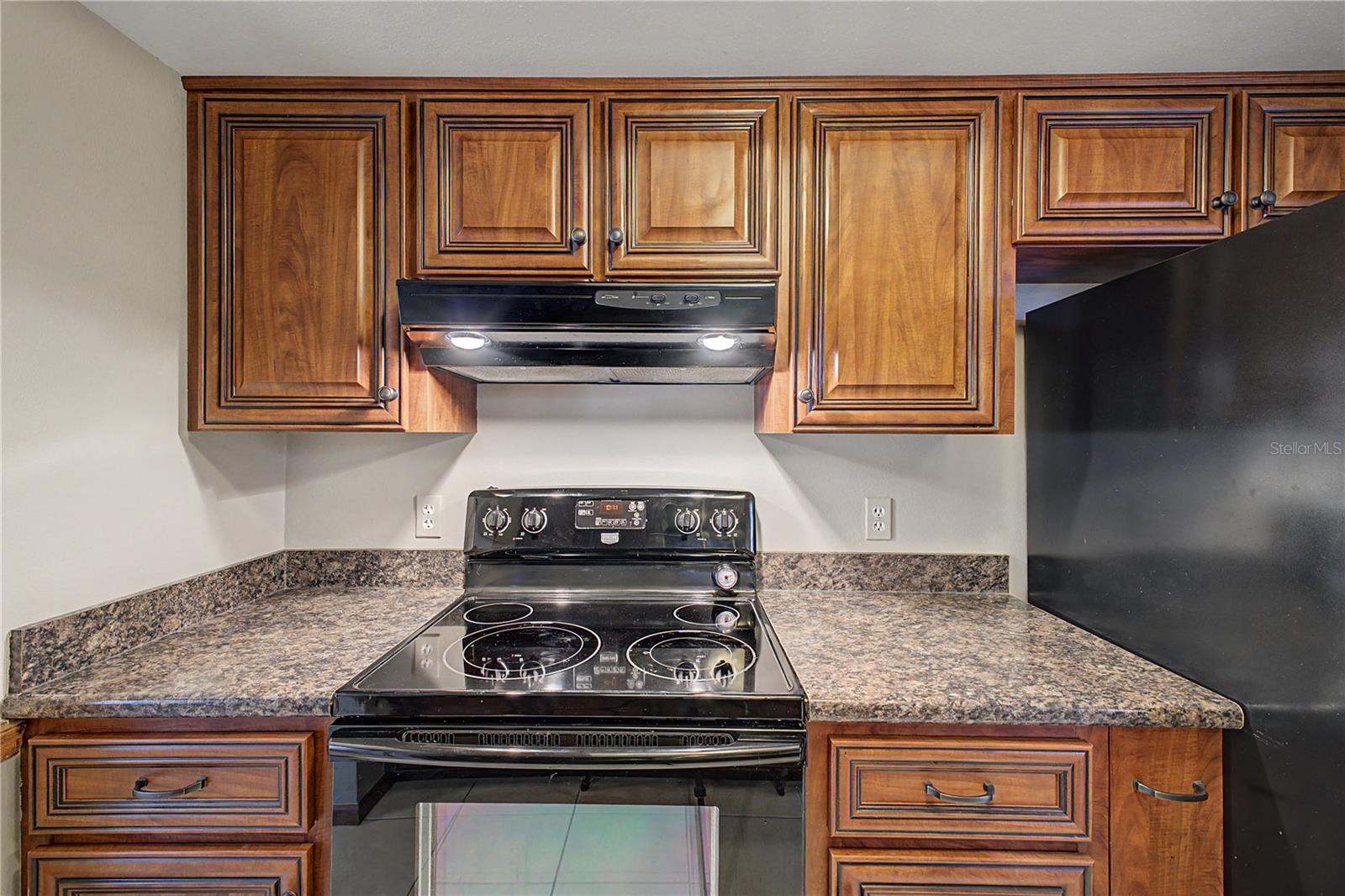 319 DARTMOUTH AVE, SPRING HILL, FL, 34606