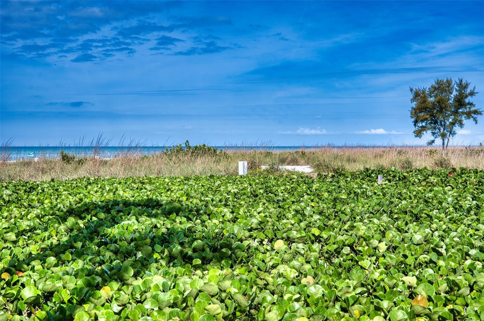 6701 GULF OF MEXICO DR #332, LONGBOAT KEY, FL, 34228