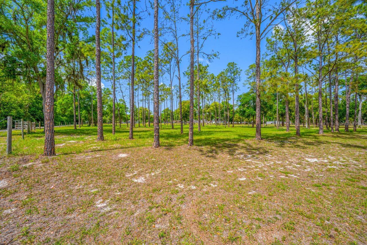 0 HANNA RD, LUTZ, FL, 33549