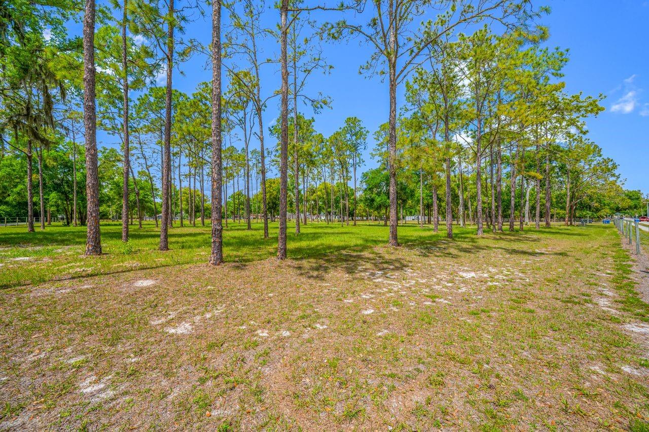0 HANNA RD, LUTZ, FL, 33549