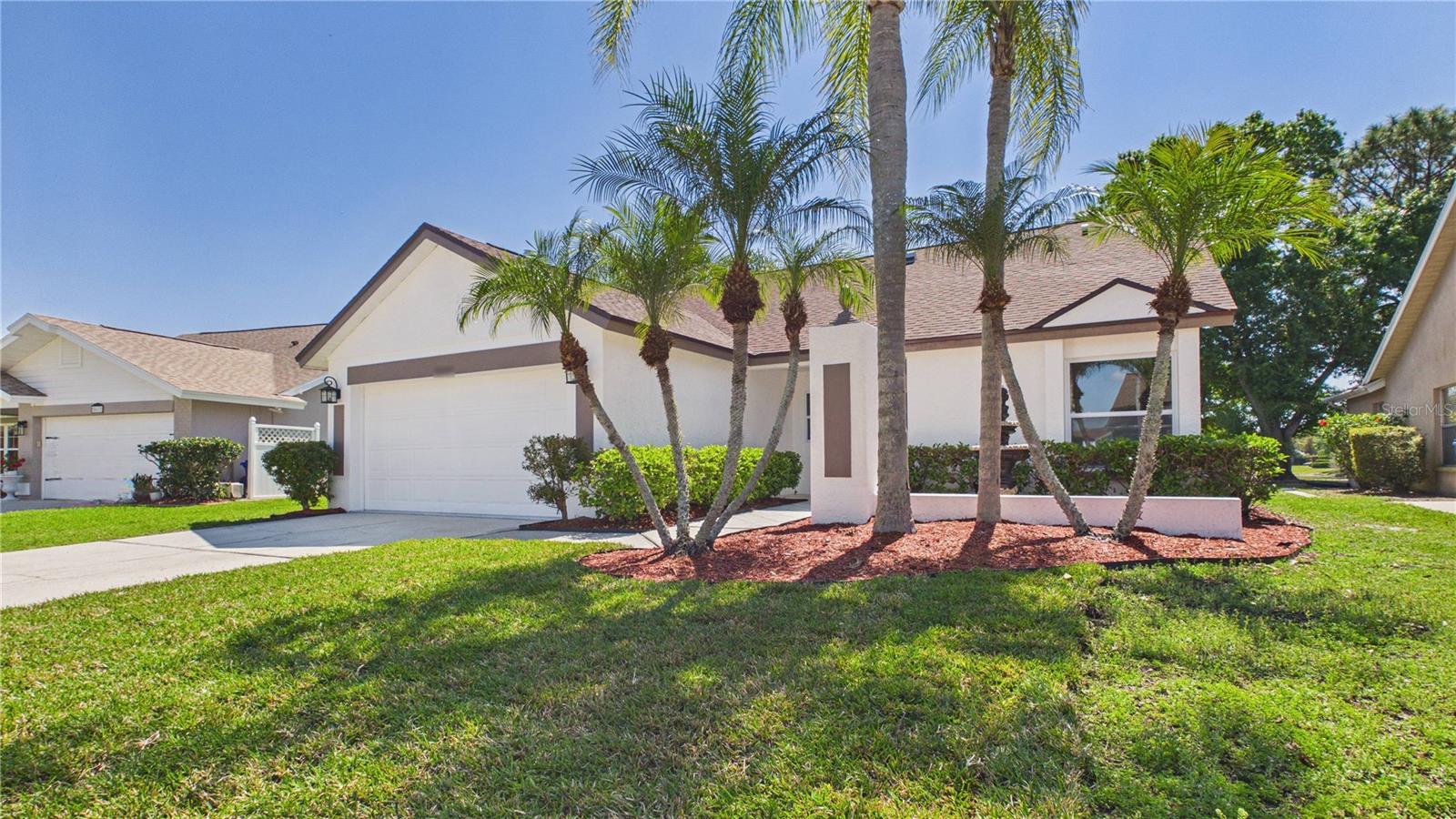 8609 BOYSENBERRY DR, TAMPA, FL, 33635
