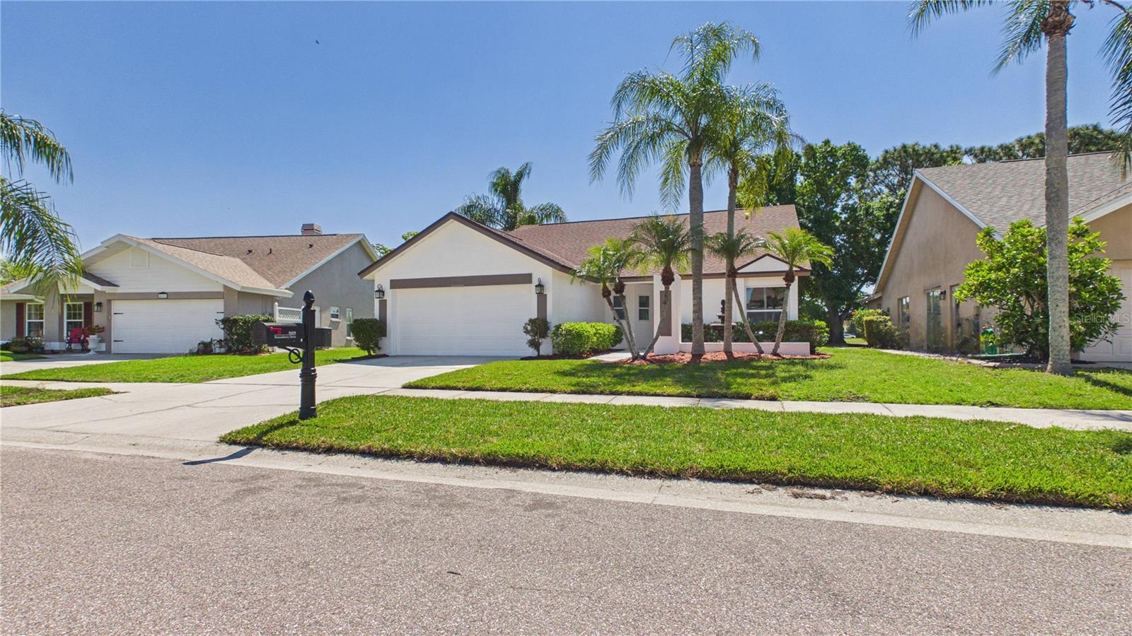 8609 BOYSENBERRY DR, TAMPA, FL, 33635