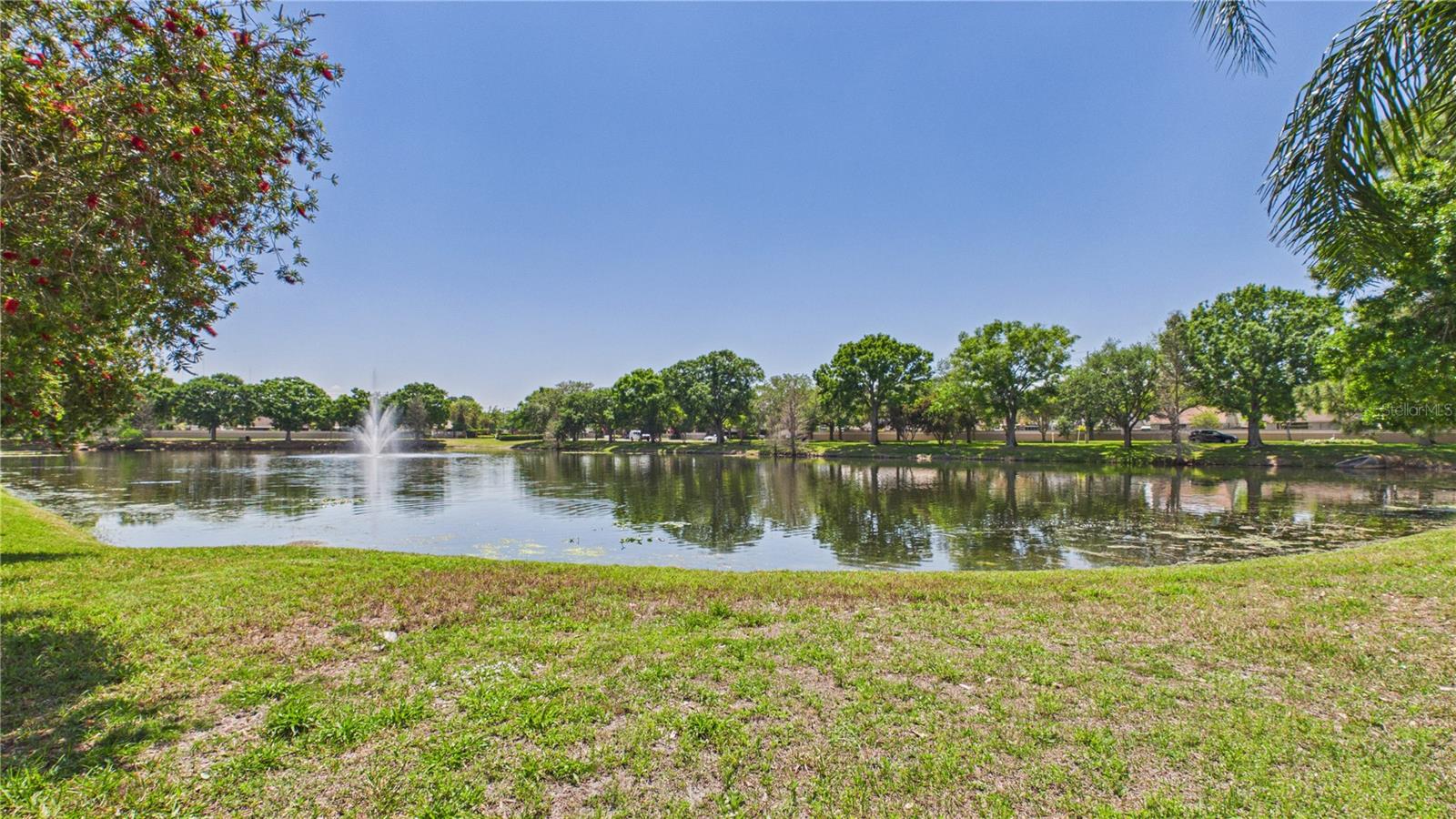 8609 BOYSENBERRY DR, TAMPA, FL, 33635