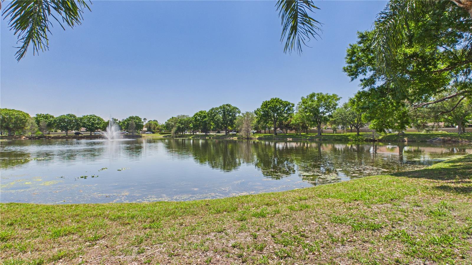 8609 BOYSENBERRY DR, TAMPA, FL, 33635