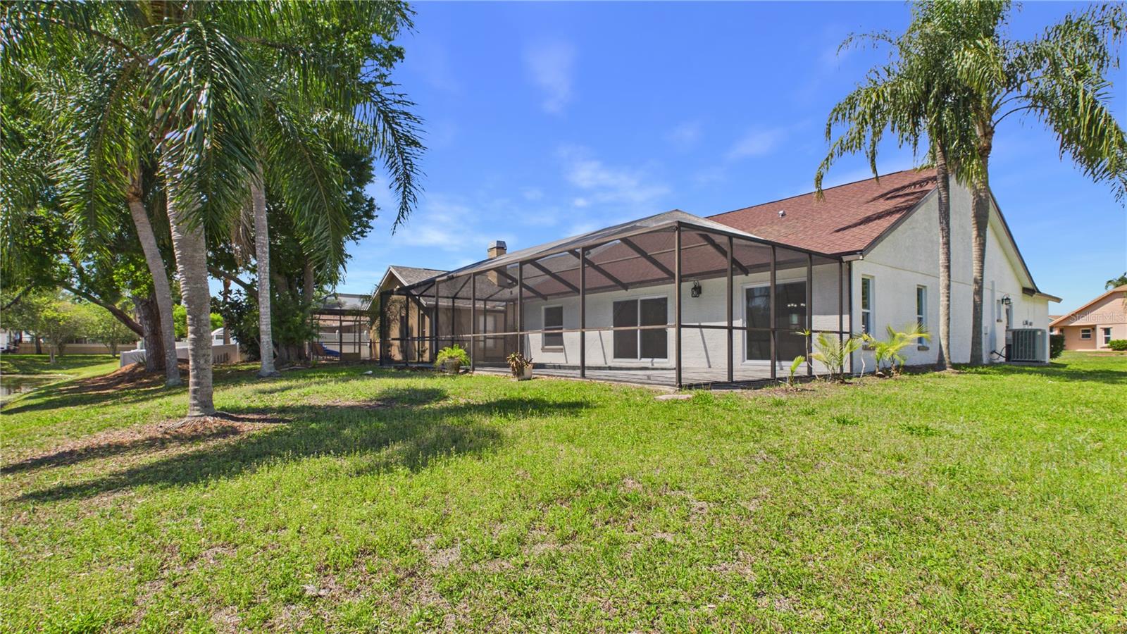 8609 BOYSENBERRY DR, TAMPA, FL, 33635
