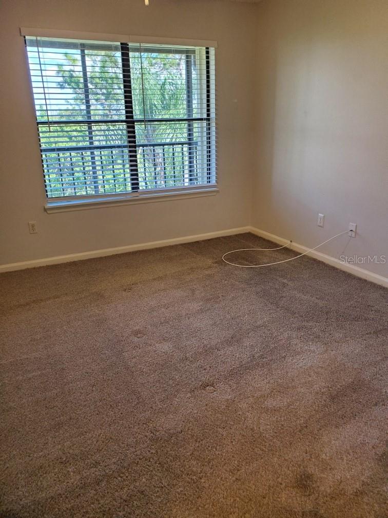 11901 4TH ST N #11308, ST PETERSBURG, FL, 33716