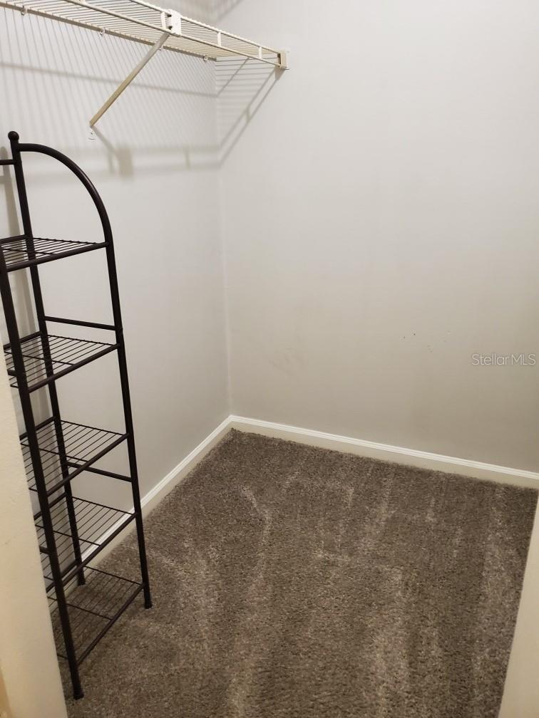 11901 4TH ST N #11308, ST PETERSBURG, FL, 33716