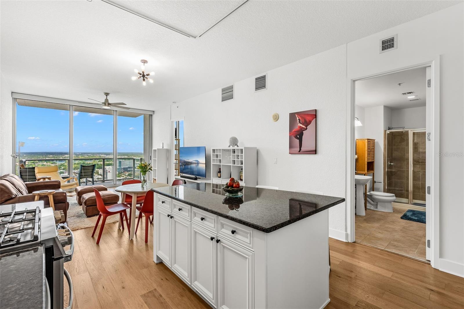 150 E ROBINSON ST #3208, ORLANDO, FL, 32801