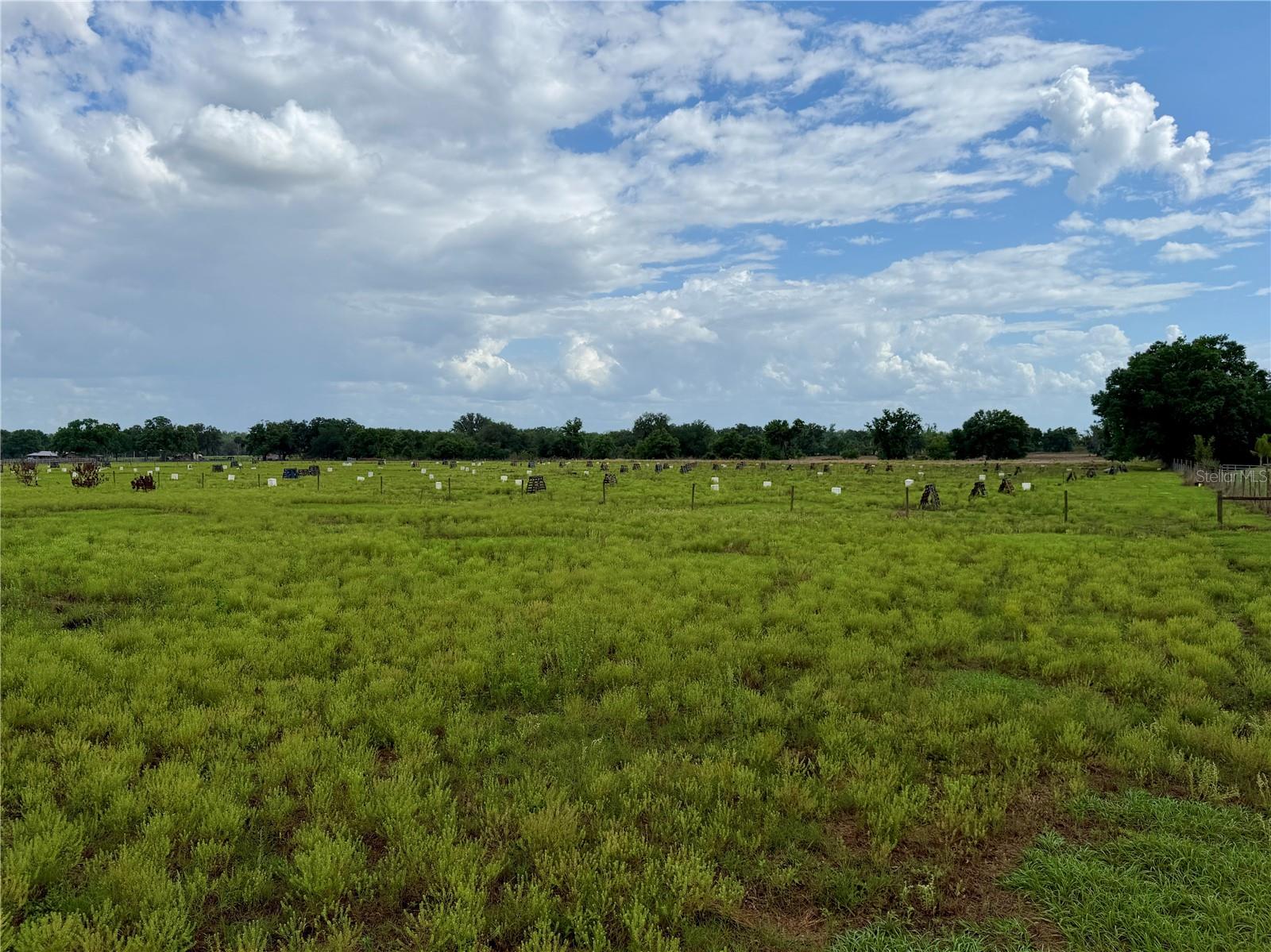 W ST RD 64, WAUCHULA, FL, 33873
