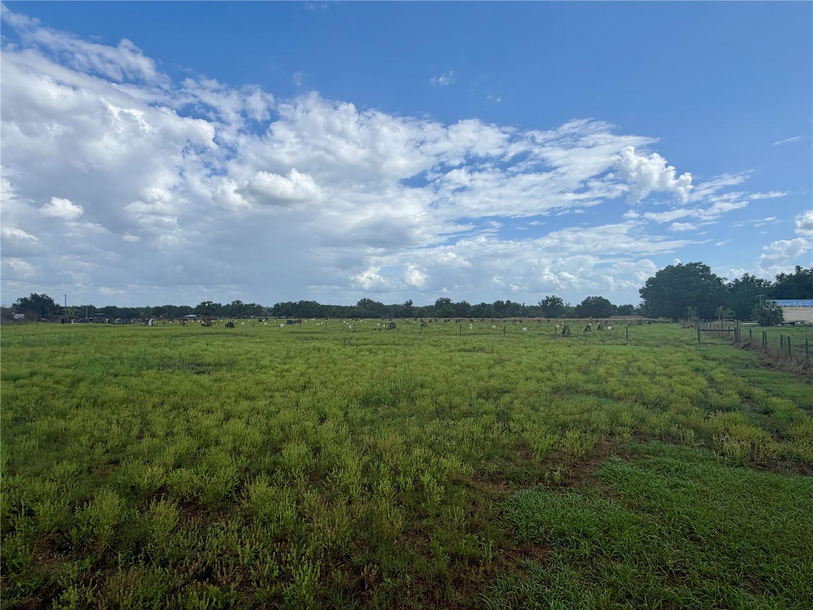 W ST RD 64, WAUCHULA, FL, 33873