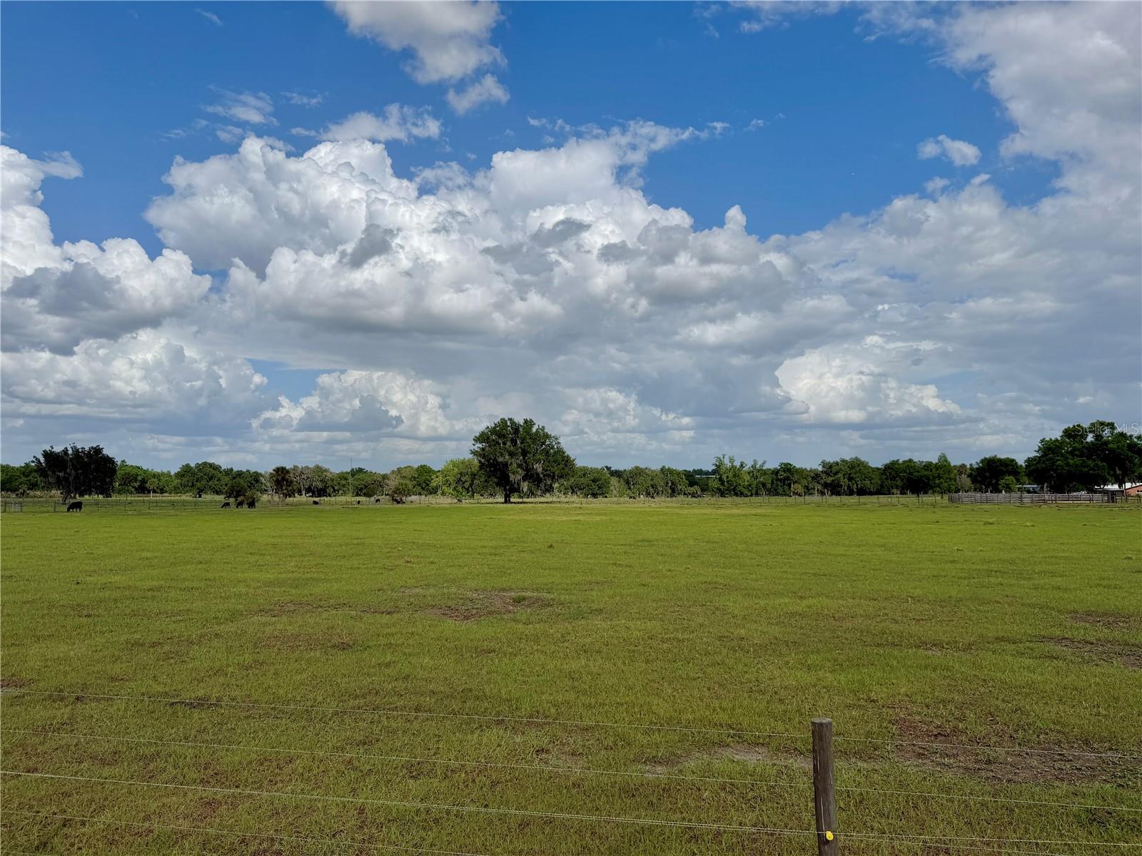W ST RD 64, WAUCHULA, FL, 33873