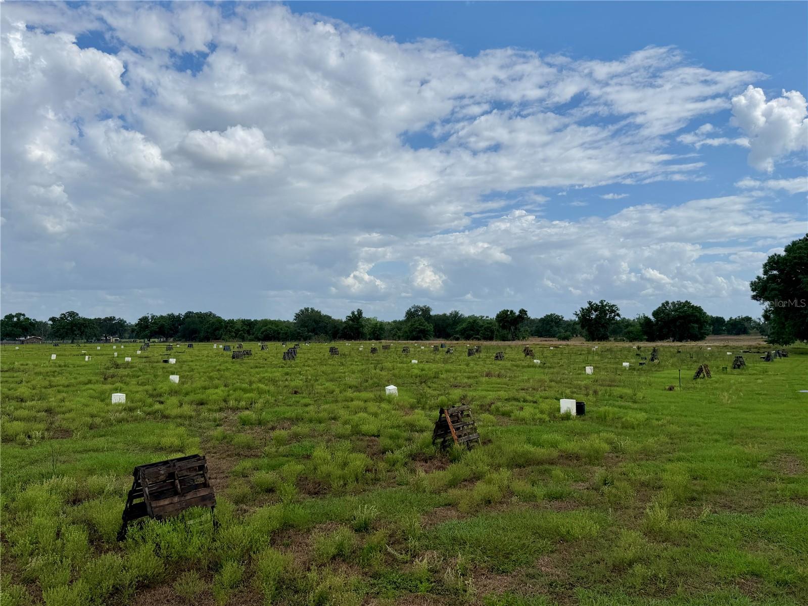 W ST RD 64, WAUCHULA, FL, 33873