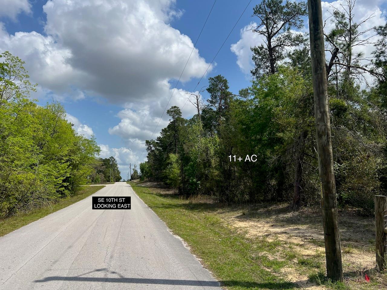 10TH ST SE, WILLISTON, FL, 32696