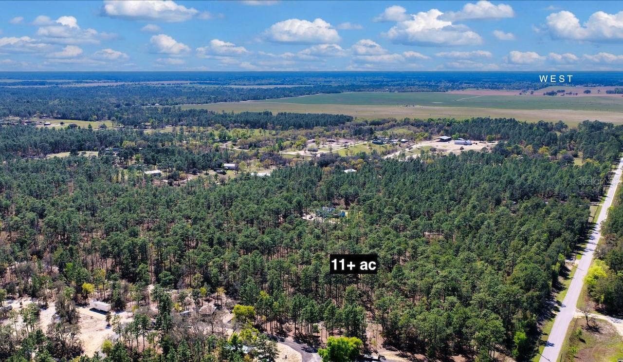 10TH ST SE, WILLISTON, FL, 32696