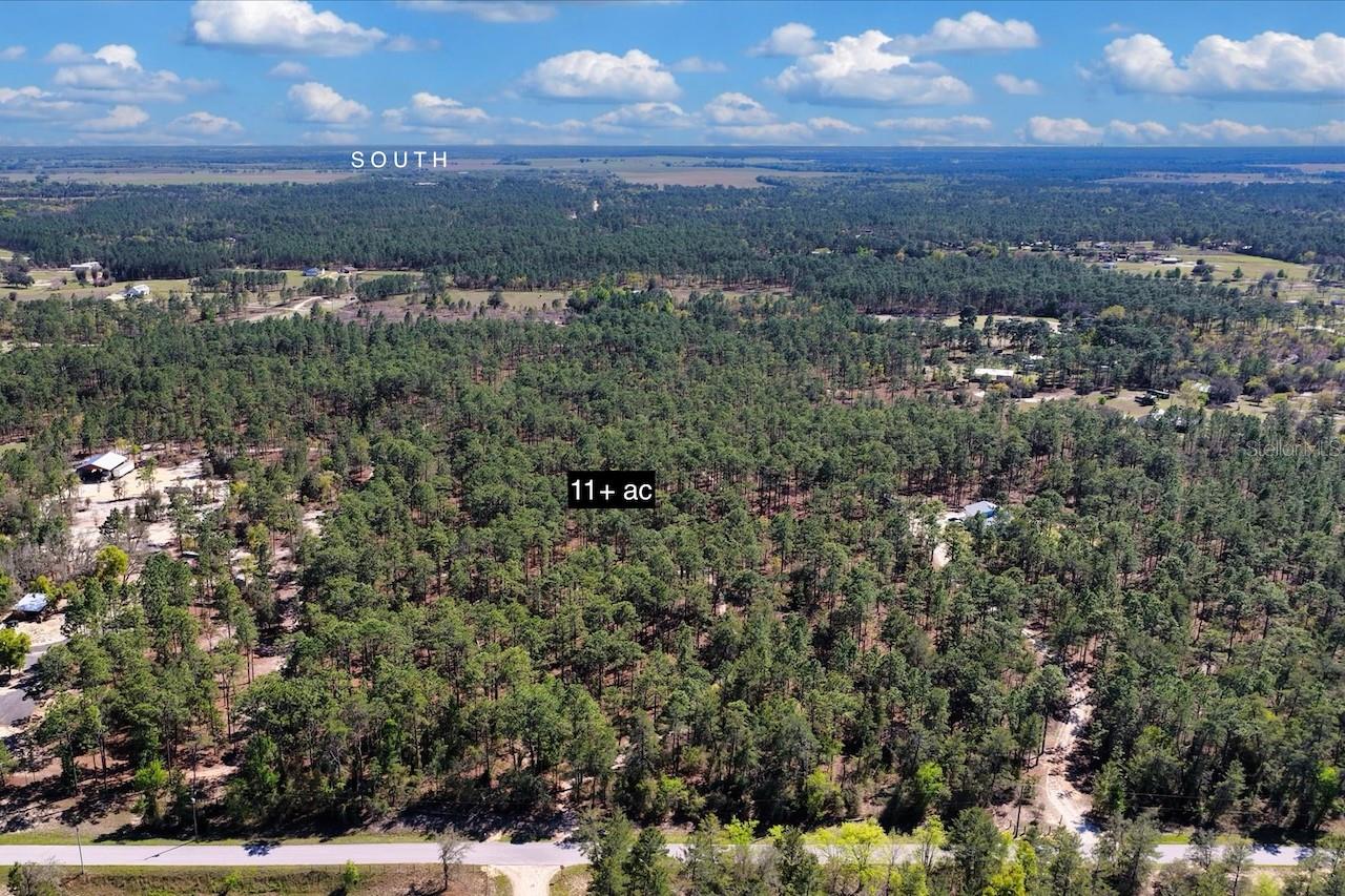 10TH ST SE, WILLISTON, FL, 32696
