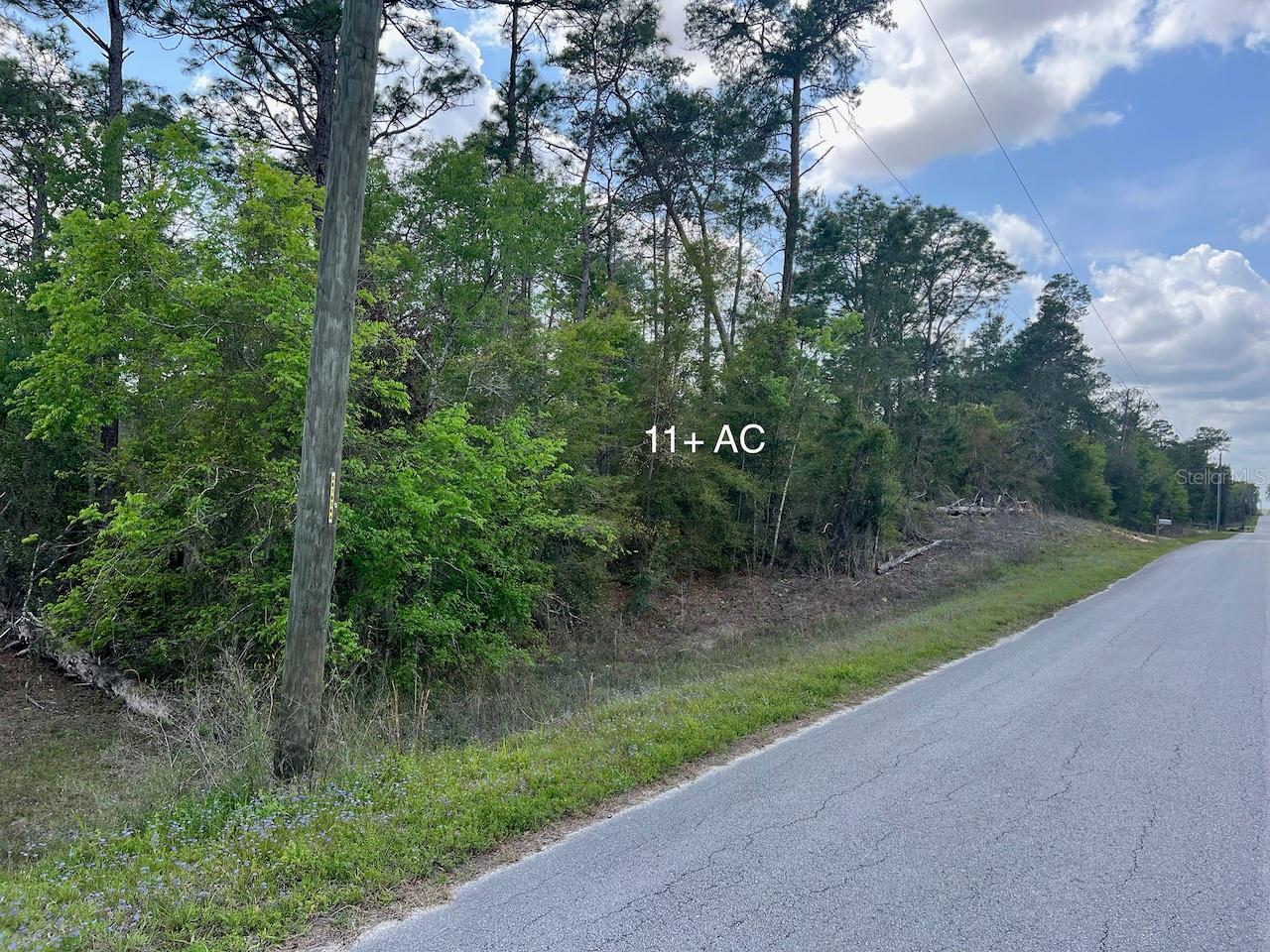 10TH ST SE, WILLISTON, FL, 32696
