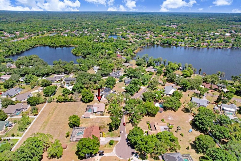 9005 HAYMARKET LN, ODESSA, FL, 33556