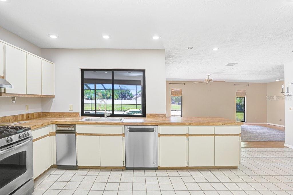 9005 HAYMARKET LN, ODESSA, FL, 33556