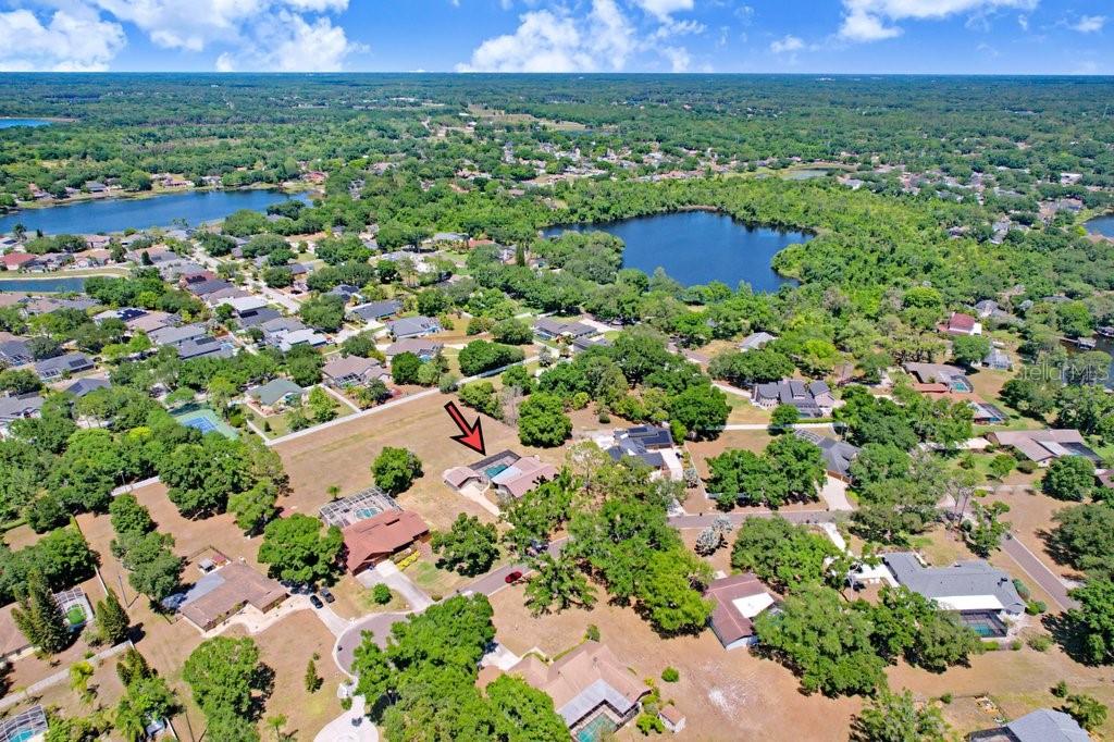 9005 HAYMARKET LN, ODESSA, FL, 33556