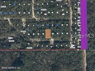 118 NEW JERSEY ST, SATSUMA, FL, 32189