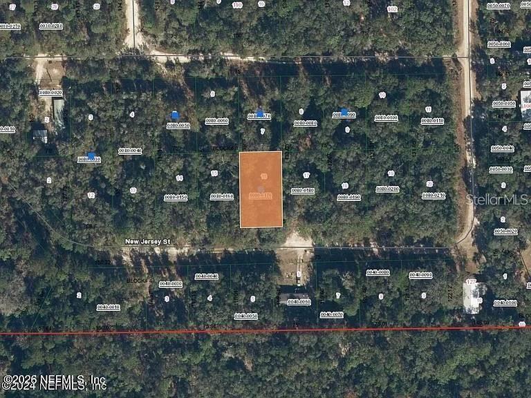 118 NEW JERSEY ST, SATSUMA, FL, 32189