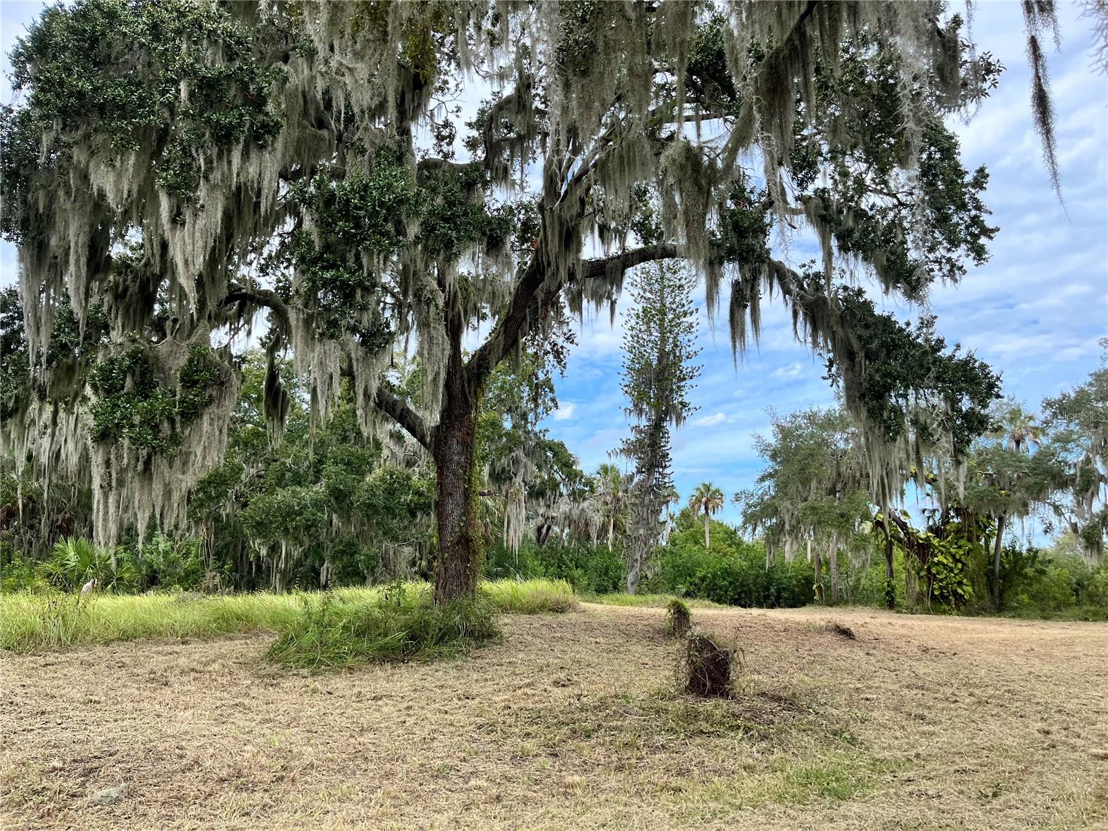 6715 16TH AVE E, PALMETTO, FL, 34221