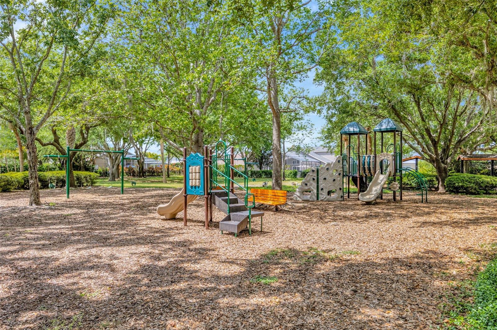 1744 LADY PALM CT, TRINITY, FL, 34655