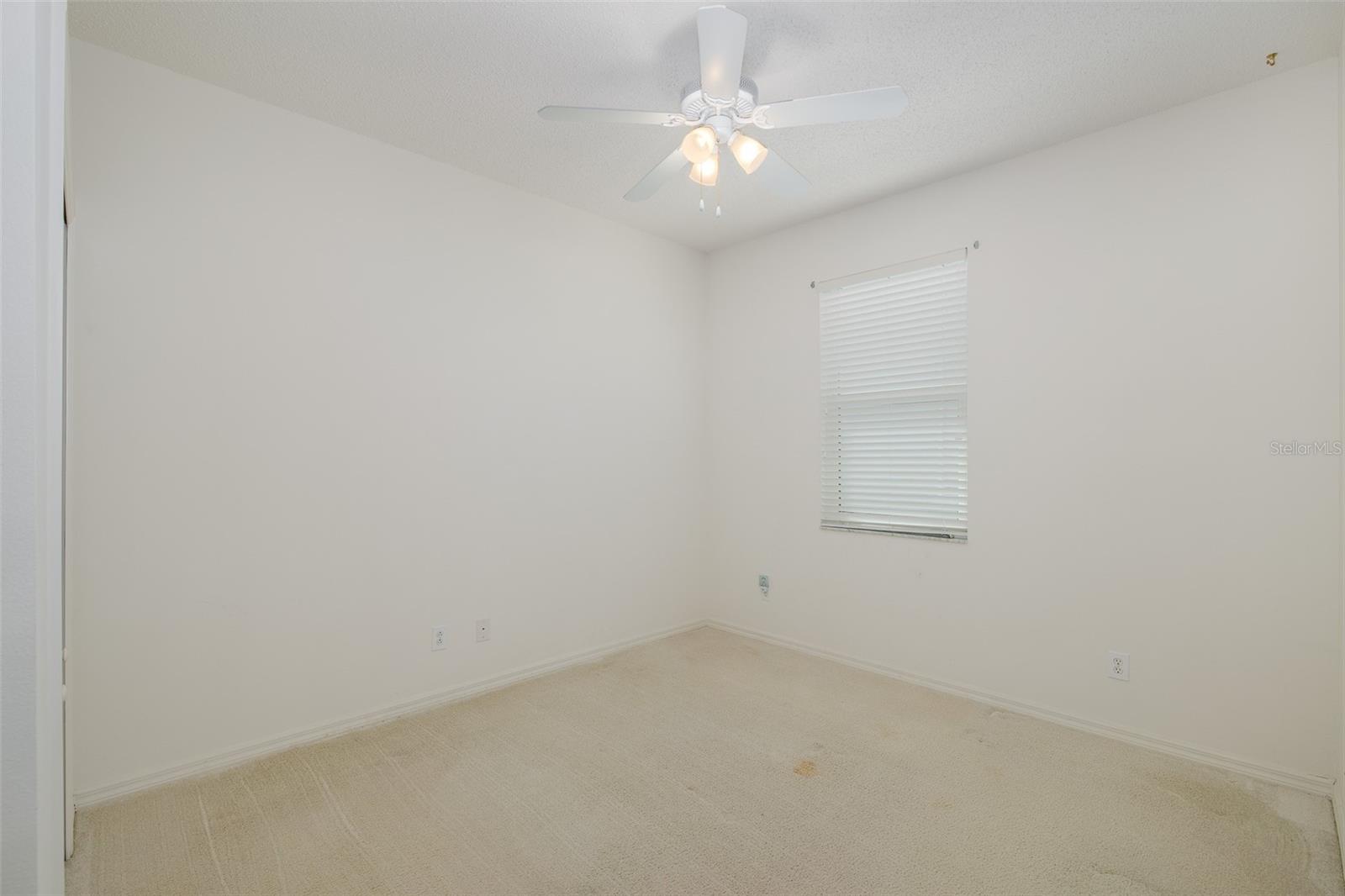 1744 LADY PALM CT, TRINITY, FL, 34655