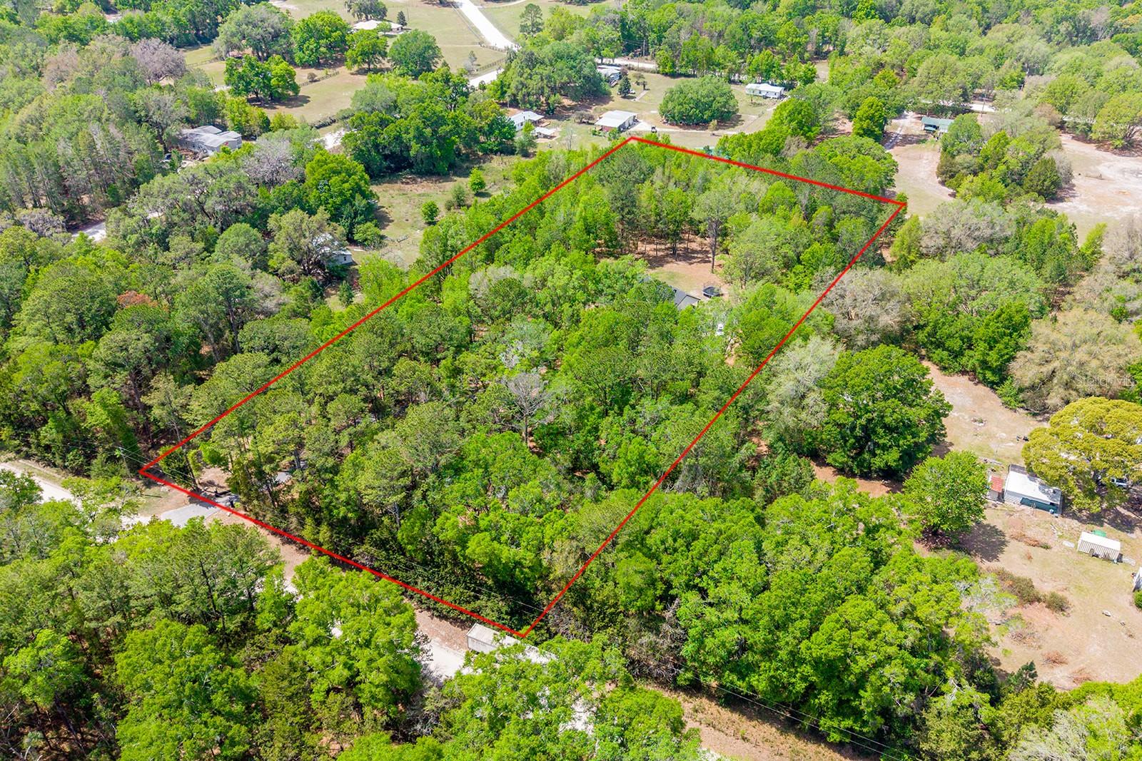456 SW BRADENTON WAY, FORT WHITE, FL, 32038