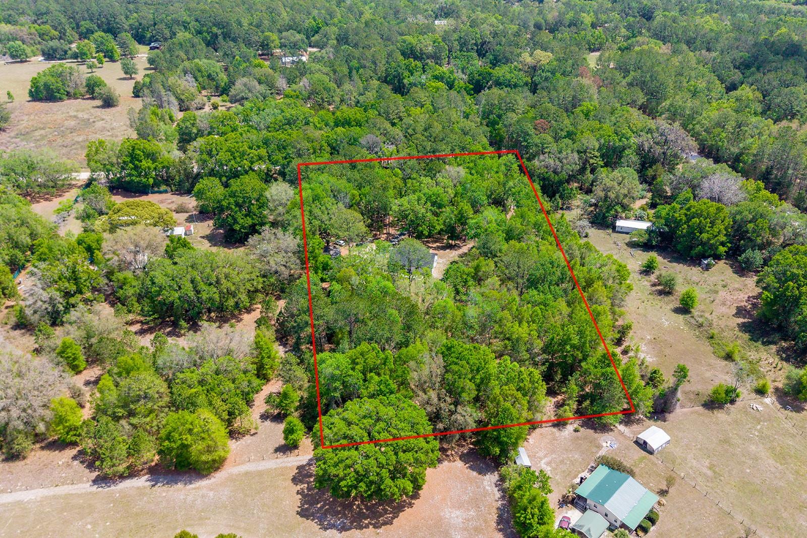 456 SW BRADENTON WAY, FORT WHITE, FL, 32038