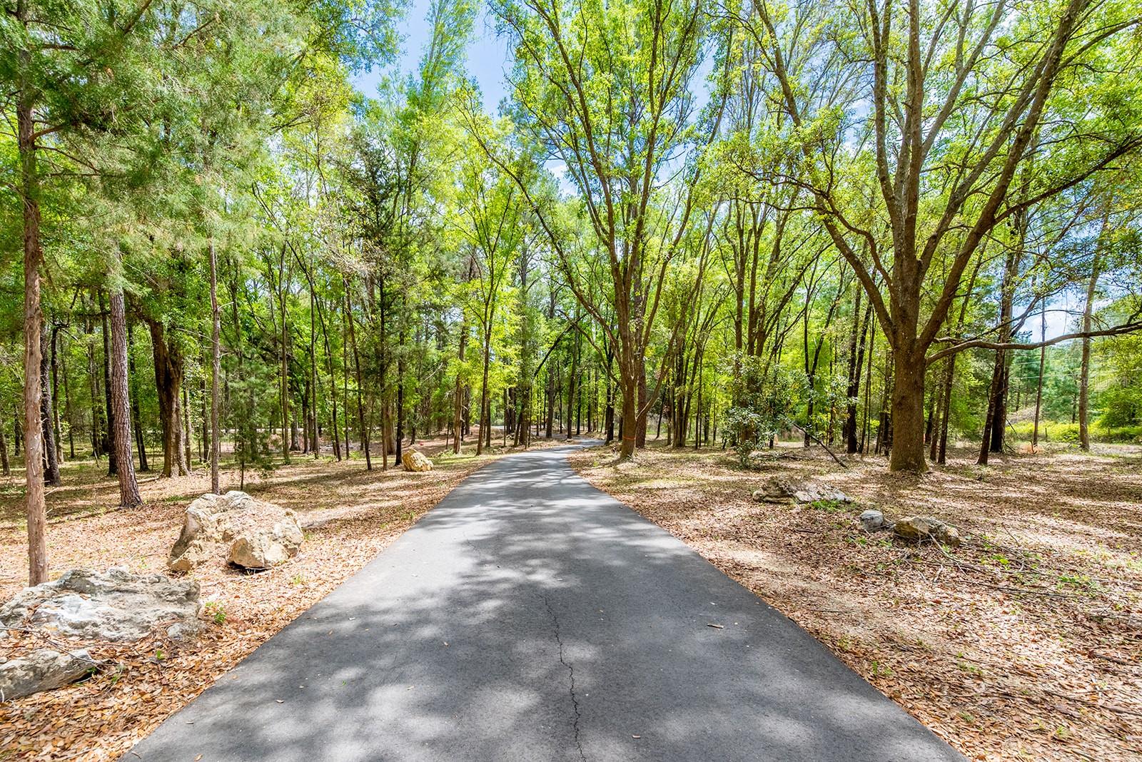 456 SW BRADENTON WAY, FORT WHITE, FL, 32038