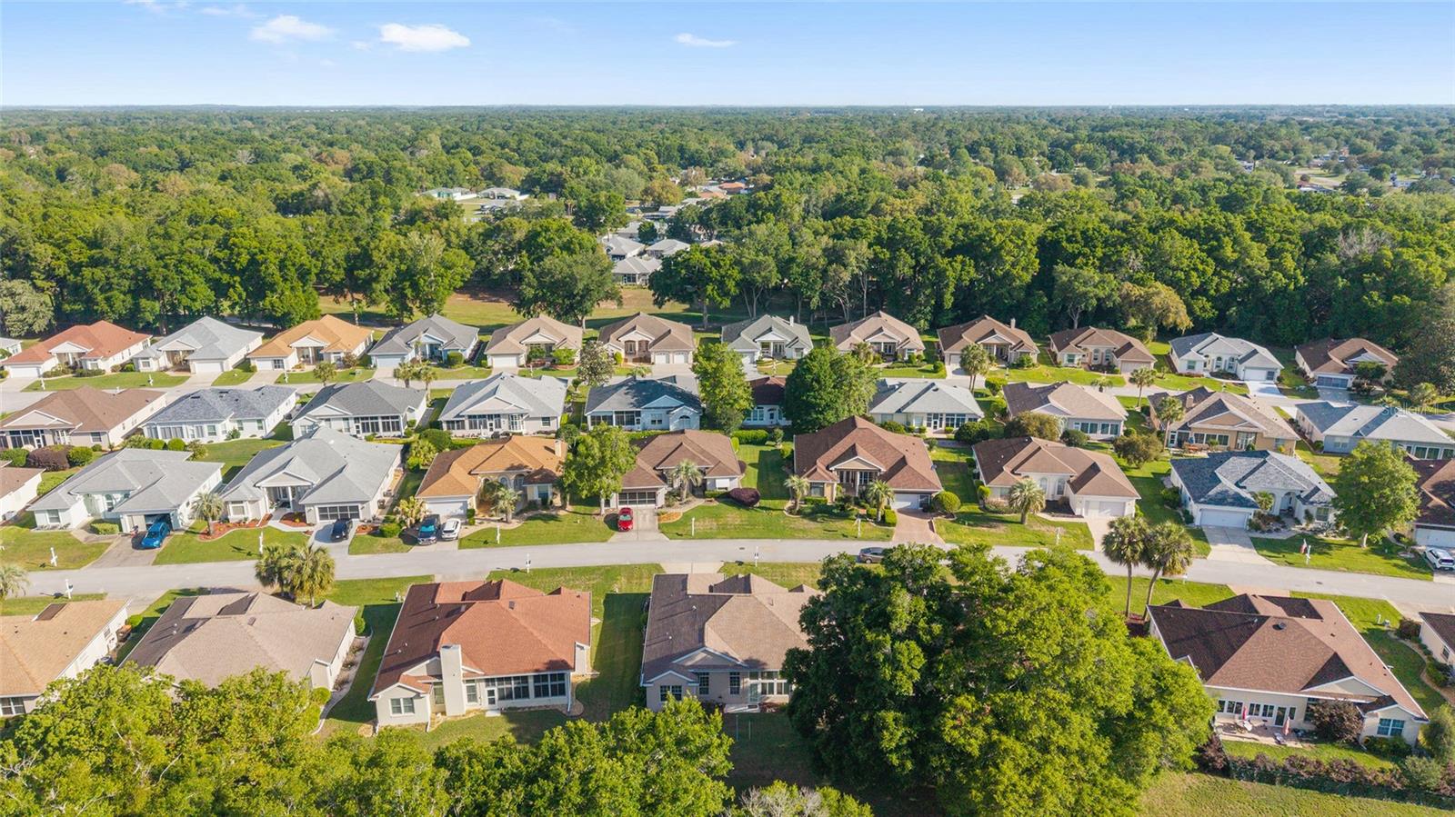 6541 SW 111TH LOOP, OCALA, FL, 34476