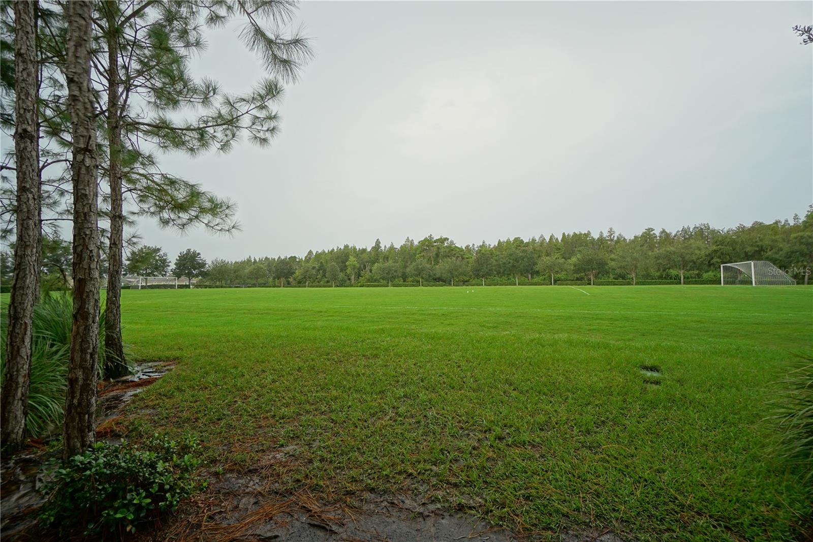 4923 ROLLING GREEN DR, WESLEY CHAPEL, FL, 33543