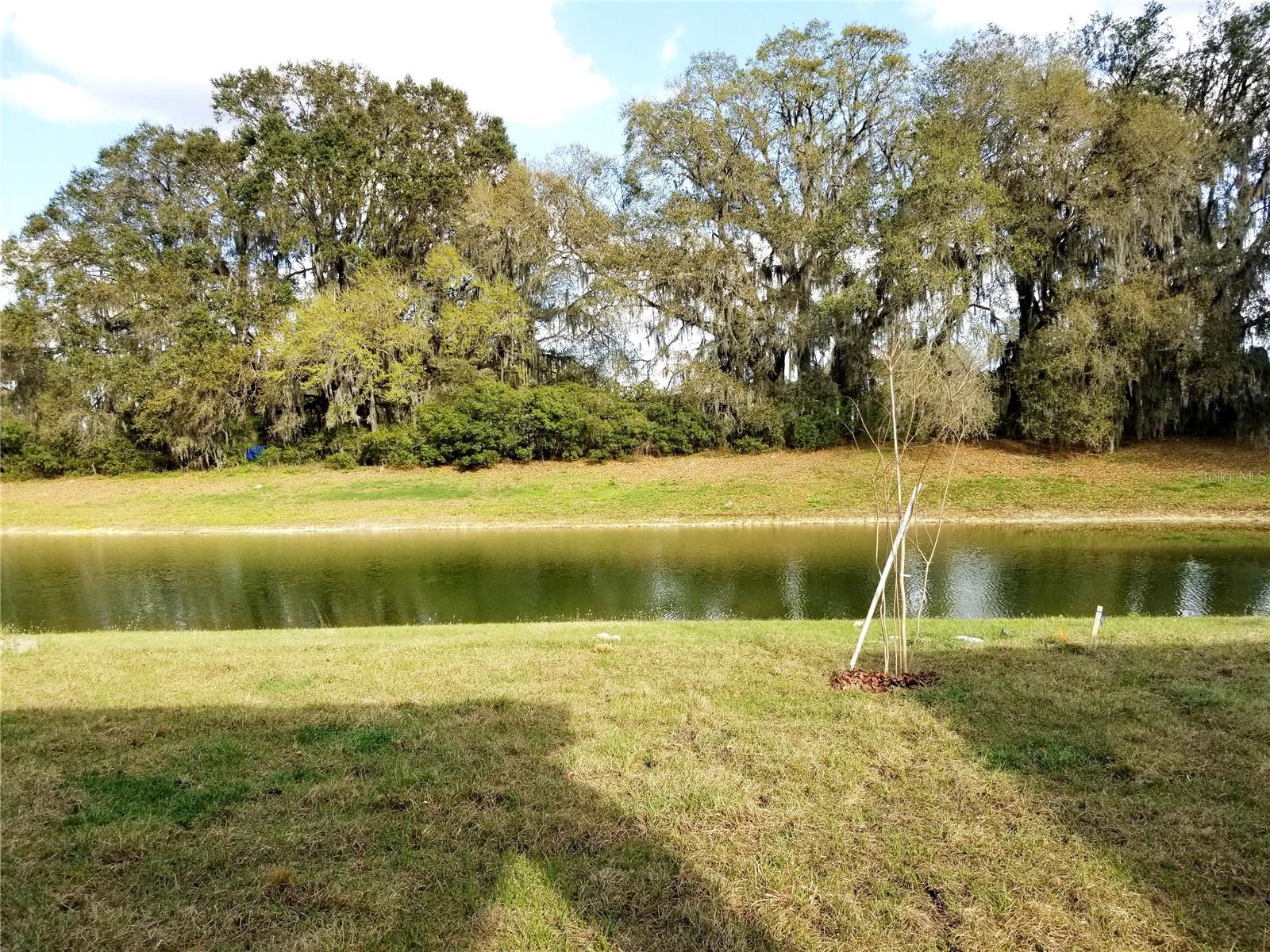 4923 ROLLING GREEN DR, WESLEY CHAPEL, FL, 33543