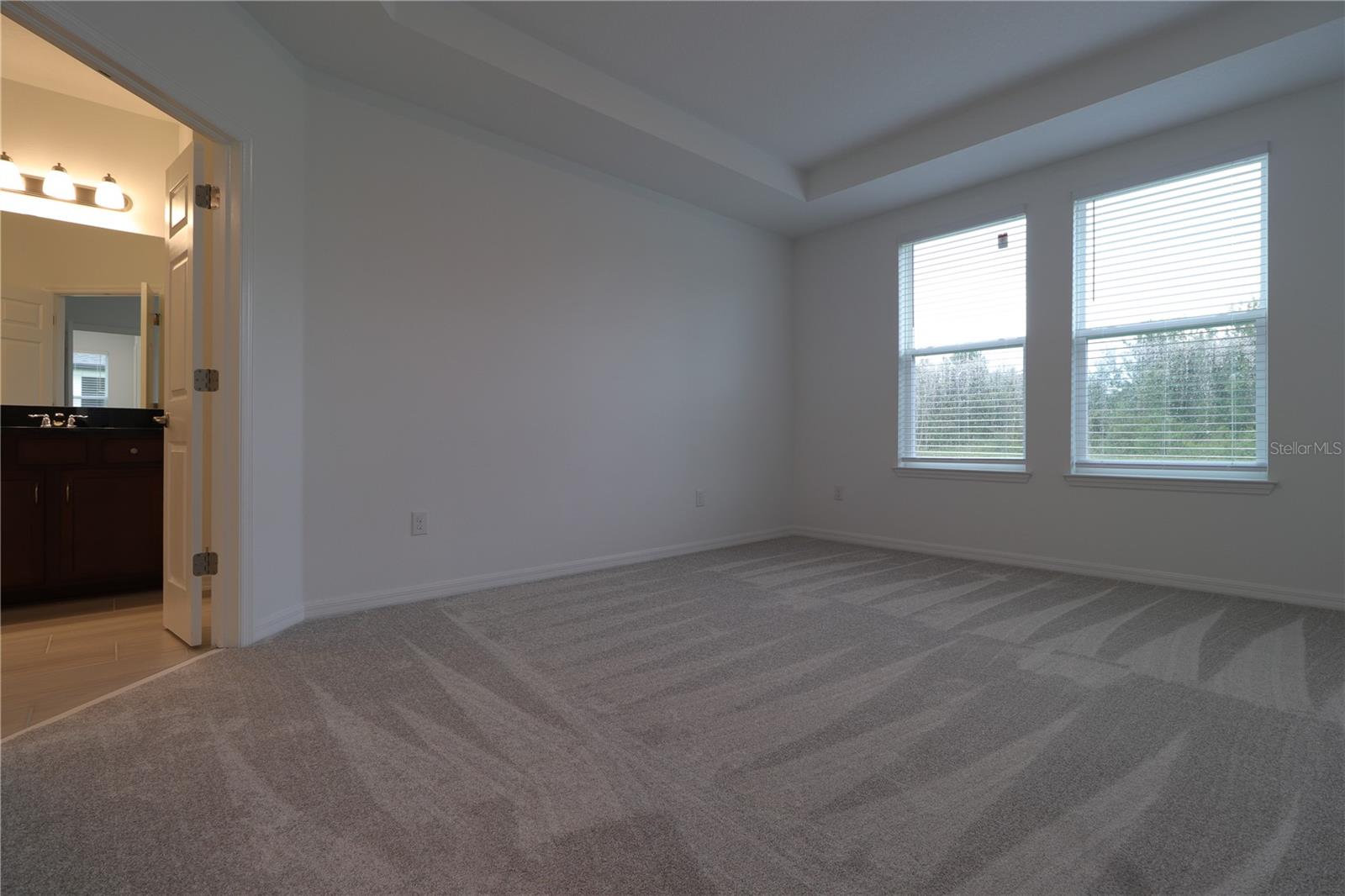 4923 ROLLING GREEN DR, WESLEY CHAPEL, FL, 33543
