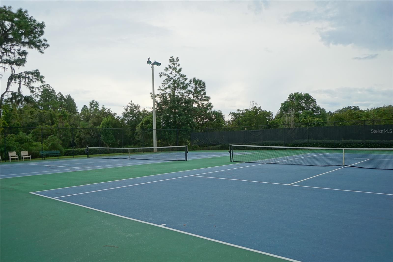 4923 ROLLING GREEN DR, WESLEY CHAPEL, FL, 33543