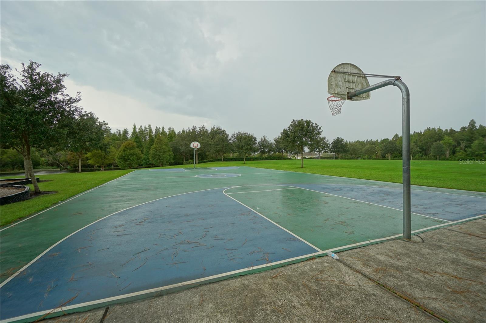 4923 ROLLING GREEN DR, WESLEY CHAPEL, FL, 33543