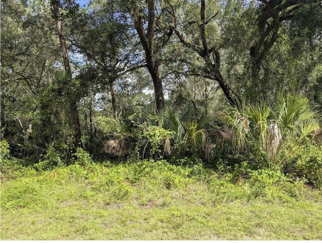 914 POINCIANA DR, INDIAN LAKE ESTATES, FL, 33855