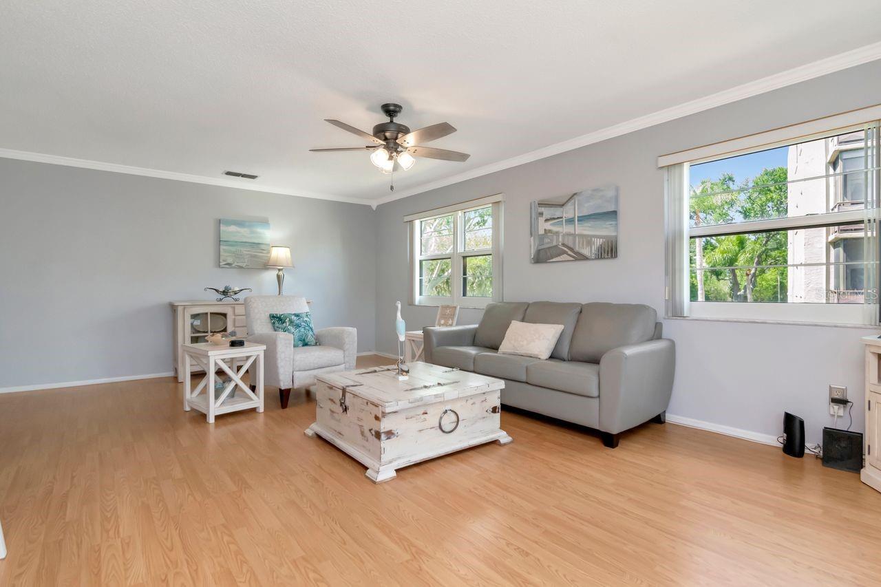 Lots of sunshine and tree views