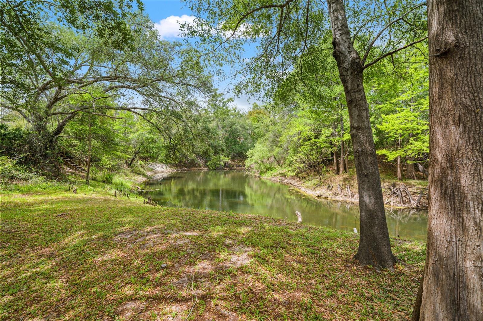 33013 ROUND TABLE RD, RIDGE MANOR, FL, 33523