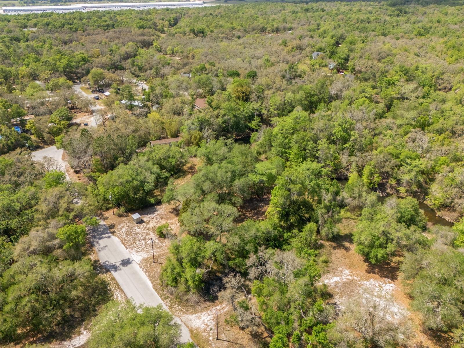 33013 ROUND TABLE RD, RIDGE MANOR, FL, 33523