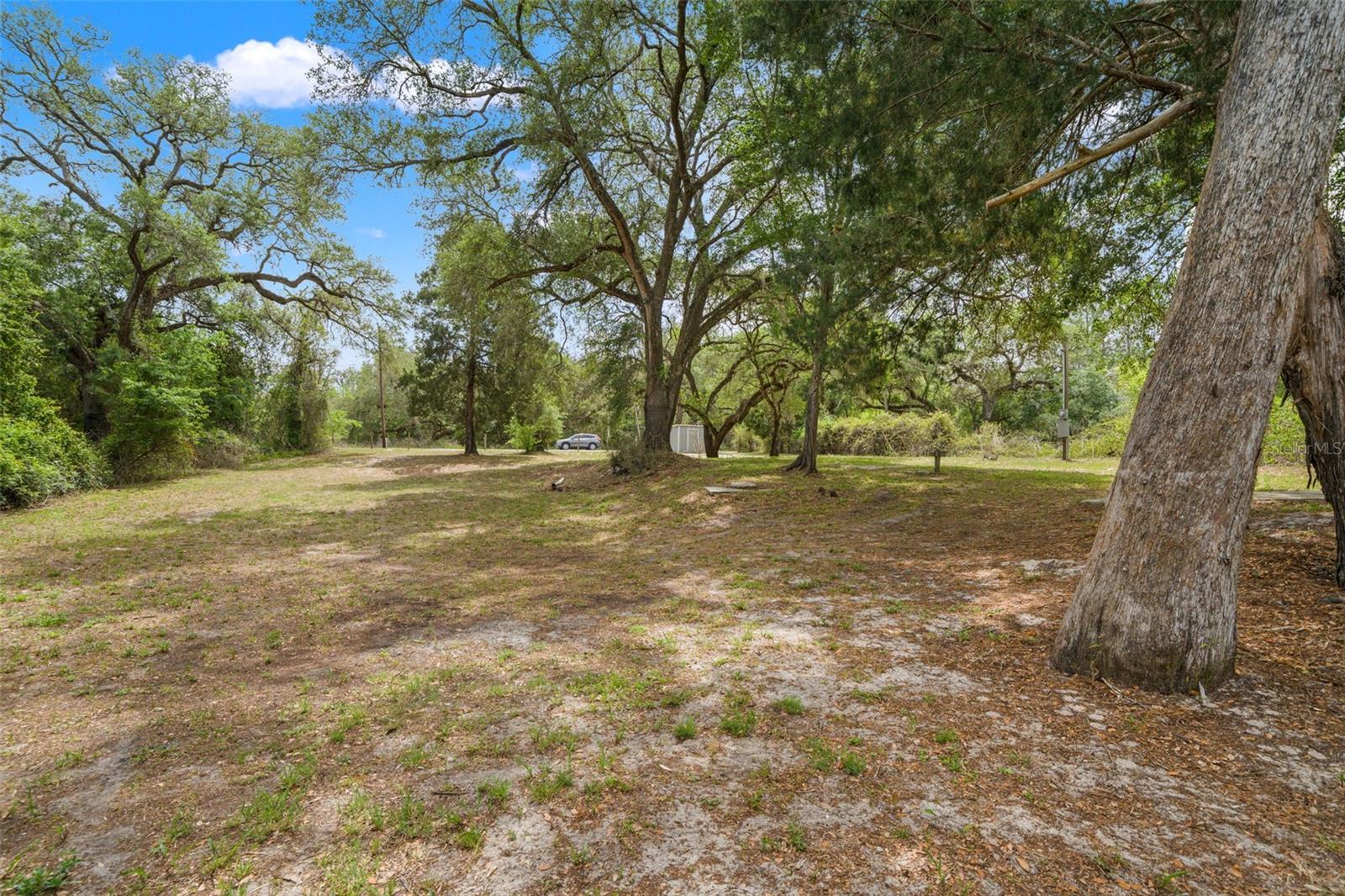 33013 ROUND TABLE RD, RIDGE MANOR, FL, 33523