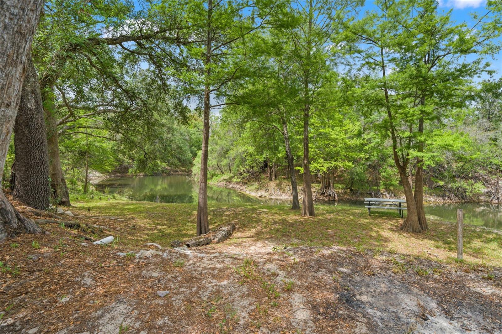 33013 ROUND TABLE RD, RIDGE MANOR, FL, 33523