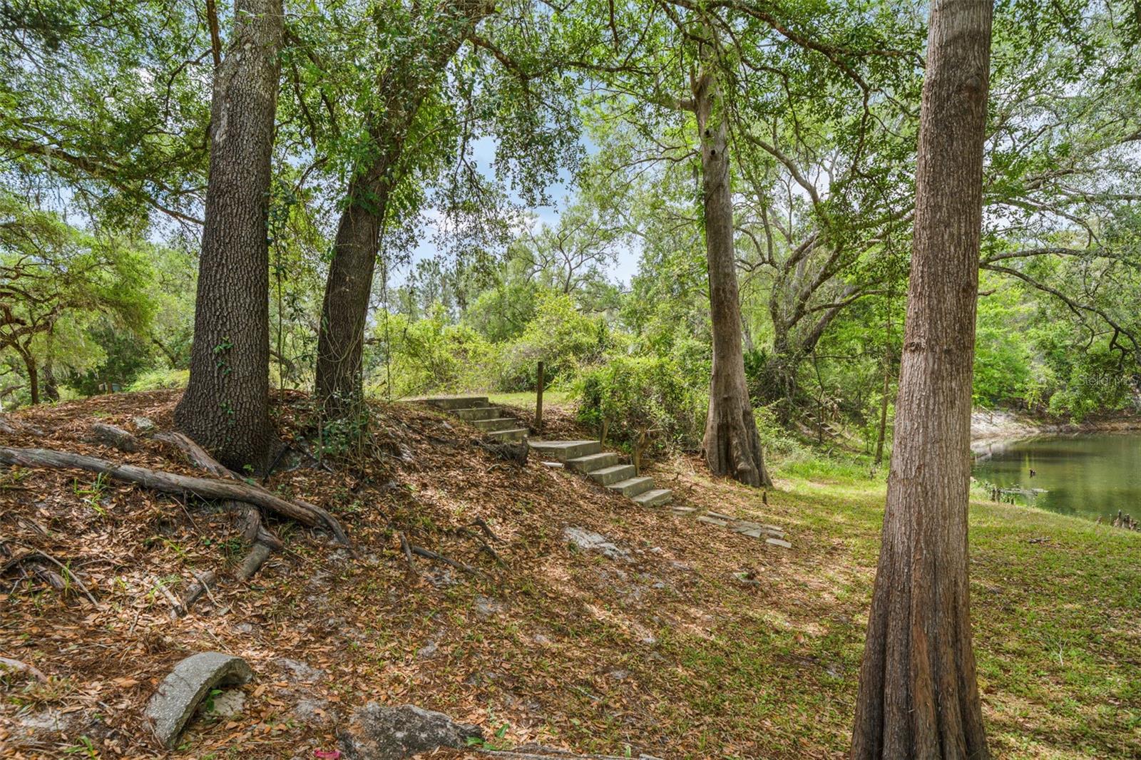 33013 ROUND TABLE RD, RIDGE MANOR, FL, 33523