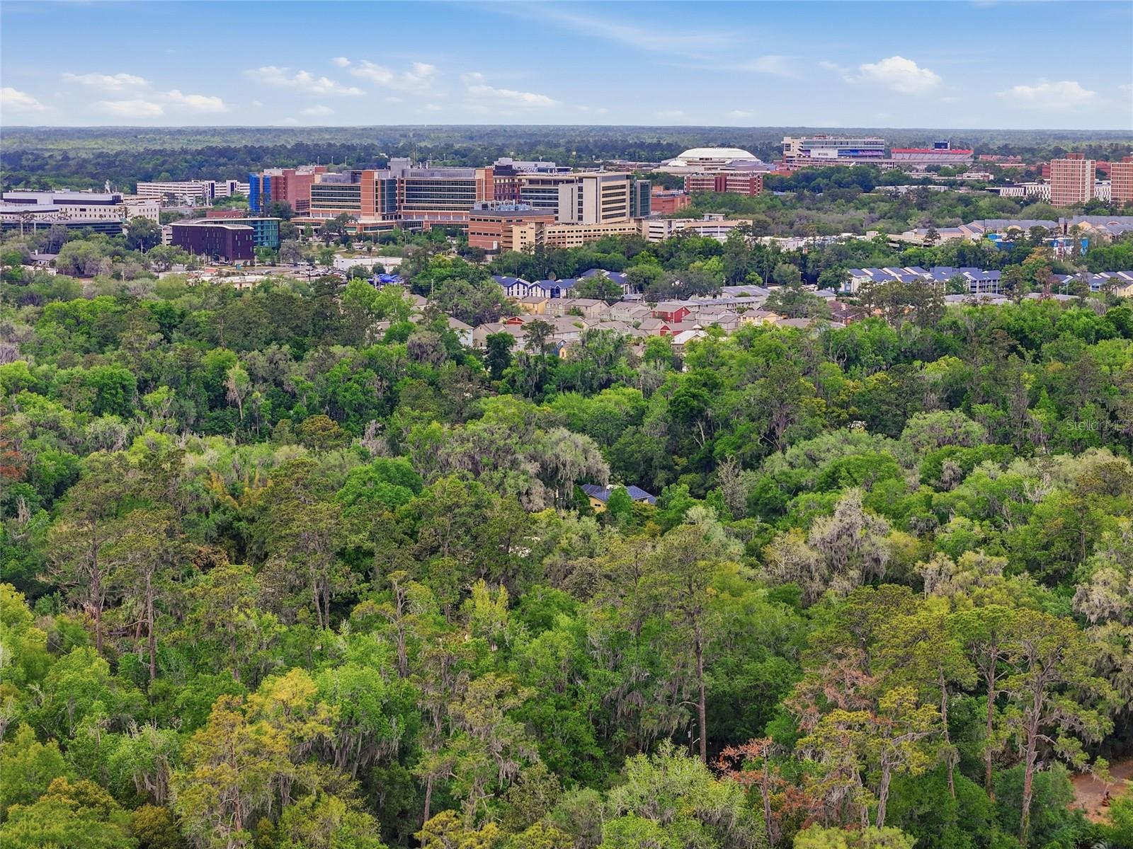 616 SW 21ST AVE, GAINESVILLE, FL, 32601