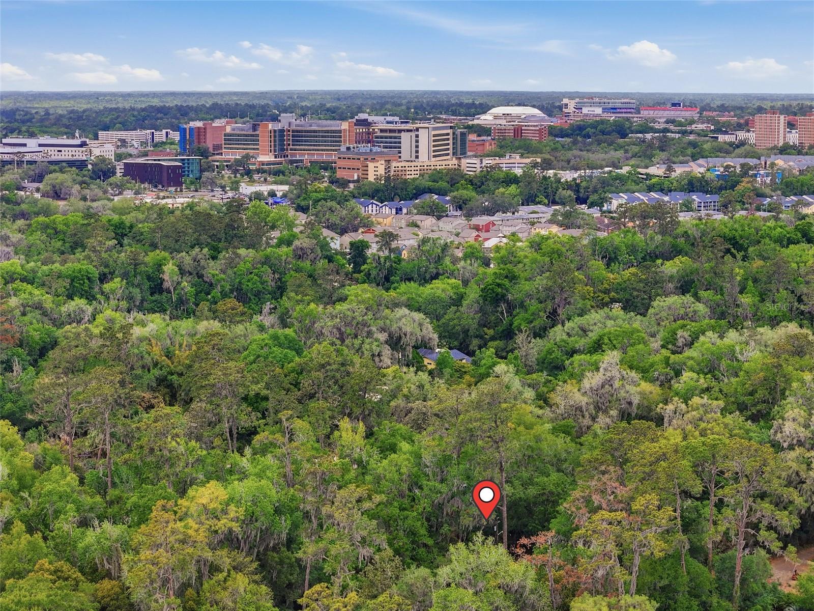 616 SW 21ST AVE, GAINESVILLE, FL, 32601